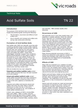 Acid Sulfate Soils