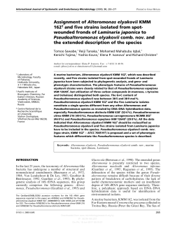 Assignment of Alteromonas elyakovii KMM 162T and five strains