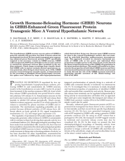 (GHRH) Neurons in GHRH-Enhanced Green