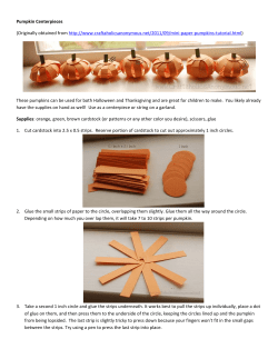 Sustainable Holiday Crafts and Decorations