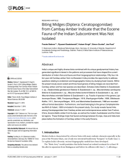 Biting Midges (Diptera: Ceratopogonidae) from Cambay Amber