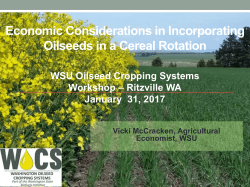 Economic Considerations in Incorporating Oilseeds in a Cereal