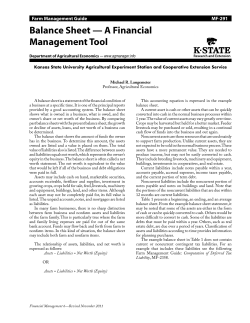 MF291 Balance Sheet -- A Financial