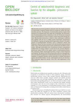 Control of mitochondrial biogenesis and function by