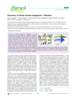 Discovery of Novel Human Aquaporin-1 Blockers