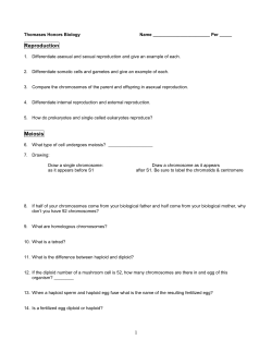 meiosis worksheet (bio 8 cell div ws meiosis