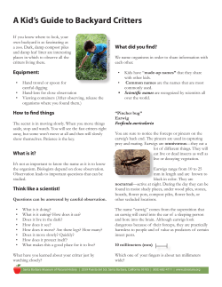 A Kid`s Guide to Backyard Critters