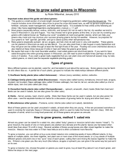 How to grow salad greens in Wisconsin