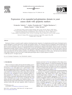 Expression of an expanded polyglutamine domain in yeast causes