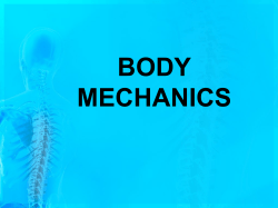 body mechanics