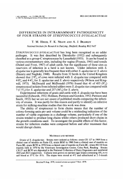 differences in intramammary pathogenicity of four strains of