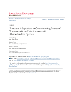 Structural Adaptations in Overwintering Leaves of Thermonastic and