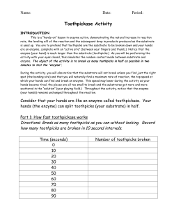 Toothpickase Activity - Paint Valley Local Schools