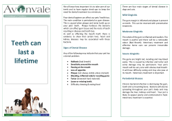 Teeth can last a lifetime - Avonvale Veterinary Centres