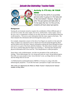 Activity 3 - Web Adventures