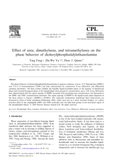 Effect of urea, dimethylurea, and tetramethylurea on the phase