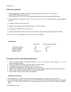 Ethanol precipitation Extraction of DNA with Phenol/Chloroform