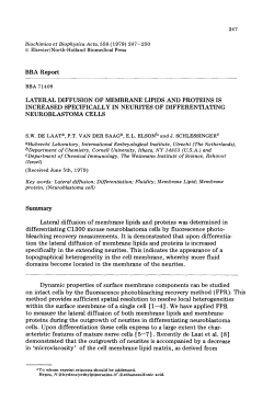 BBA Report - Utrecht University Repository