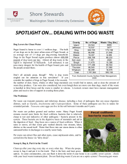 spotlight on&hellip; dealing with dog waste