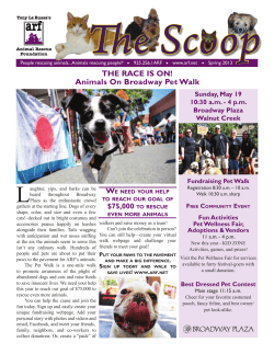 Animals On Broadway Pet Walk THE RACE IS ON!
