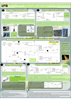 Presentación de PowerPoint