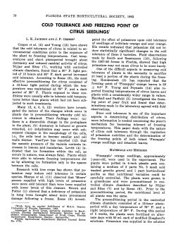 cold tolerance and freezing point of citrus
