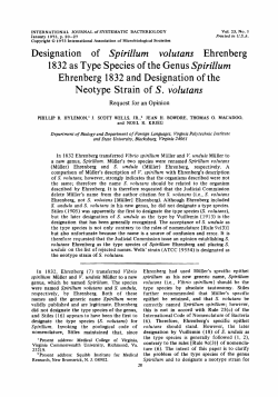 Designation of Sp irill um volutans Ehrenberg 1832 as Type Species