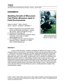 Seedling Growth of Wisconsin Fast Plants (Brassica rapa)