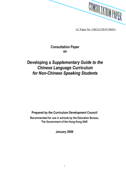 Developing a Supplementary Guide to the Chinese Language