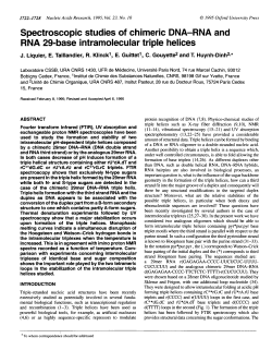 Spectroscopic studies of chimeric DNA-RNA and