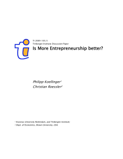 Is More Entrepreneurship better?