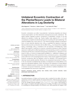 Unilateral Eccentric Contraction of the Plantarflexors Leads to