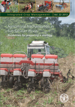 Agricultural Mechanization in Sub Saharan Africa: Guidelines for