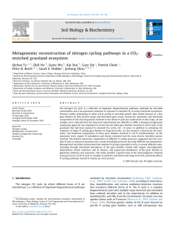 Metagenomic reconstruction of nitrogen cycling pathways in a CO2