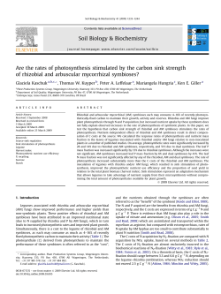 Soil Biology and Biochemistry