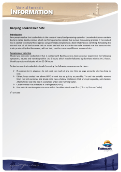 Keeping Cooked Rice Safe