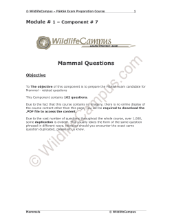 Mammal Questions
