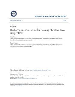 Herbaceous succession after burning of cut western juniper trees