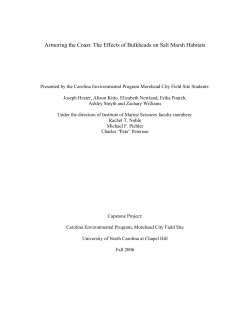 Armoring the Coast: The Effects of Bulkheads on Salt Marsh Habitats