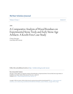 A Comparative Analysis of Wood Residues on Experimental Stone