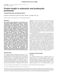 Protein length in eukaryotic and prokaryotic