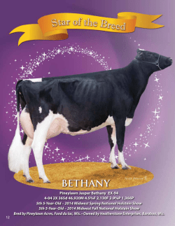 Read more about Bethany