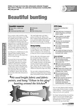 Making bunting and flags (part 1)