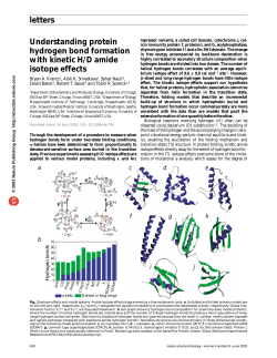 letters Understanding protein hydrogen bond formation with kinetic