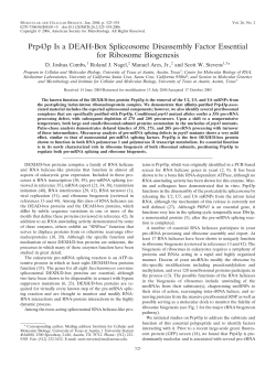 Prp43p Is a DEAH-Box Spliceosome Disassembly