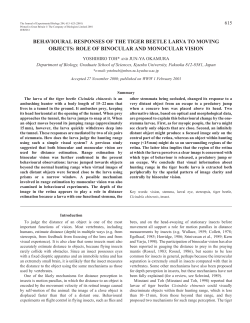 Role of vision in responses of tiger beetle larvae to moving objects