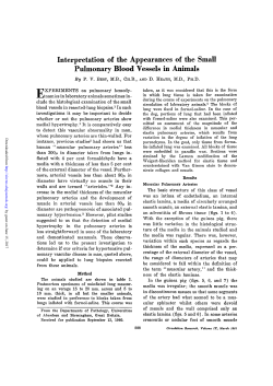 Interpretation of the Appearances of the Small Pulmonary Blood