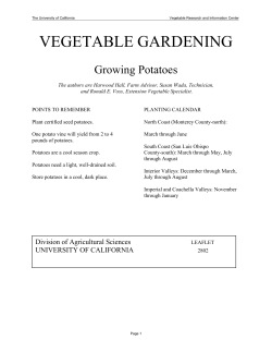 Growing Potatoes in California