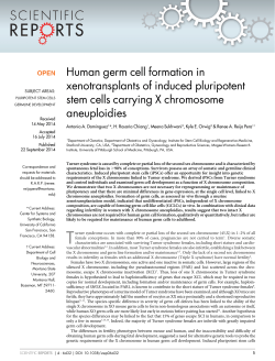 Human germ cell formation in xenotransplants of