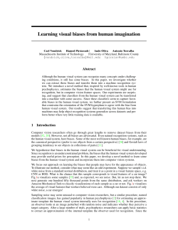 Learning visual biases from human imagination